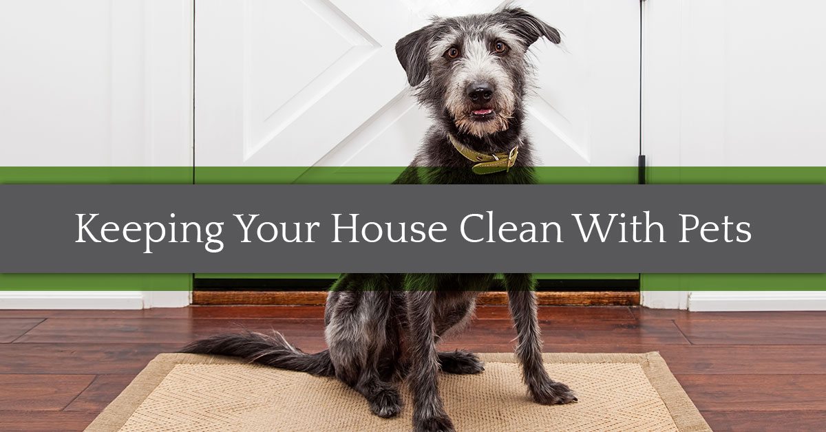 Keeping Your House Clean With Pets