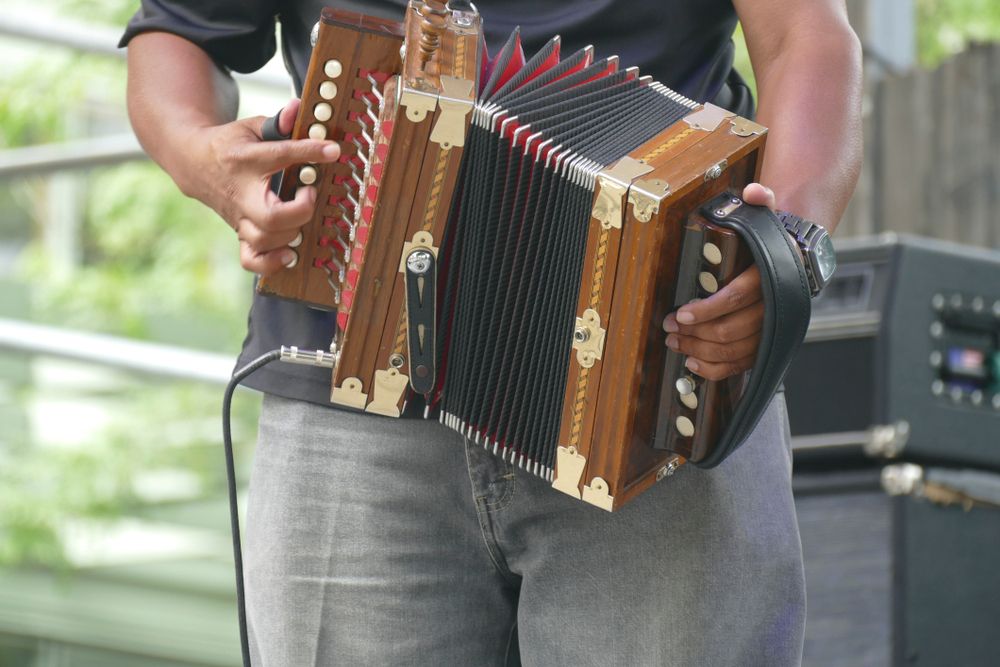 Accordion Instrument